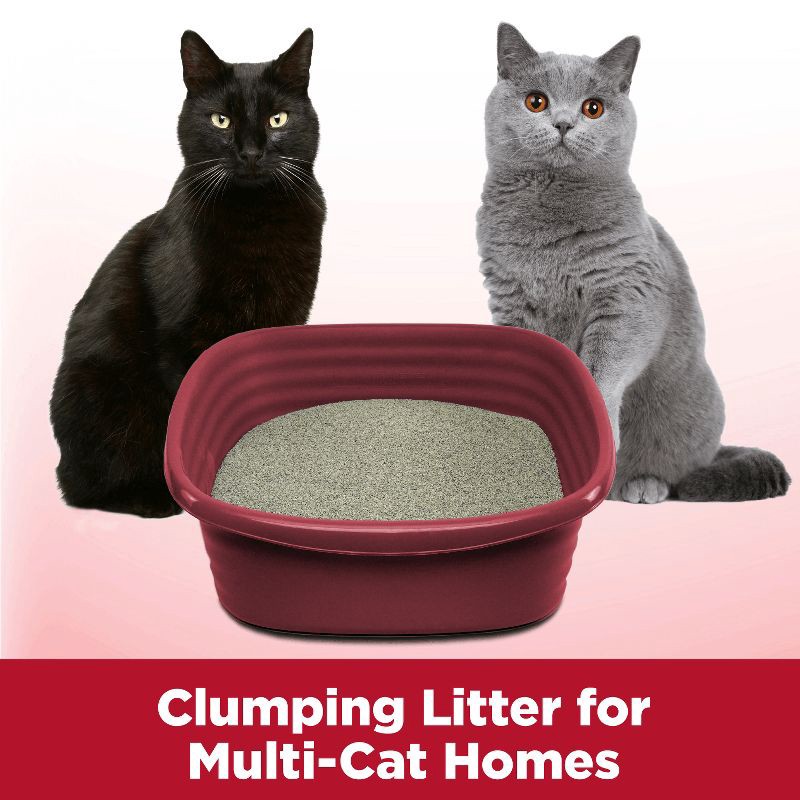 slide 4 of 9, Arm & Hammer Clump & Seal Multi-Cat Litter - 38lbs, 38 lb