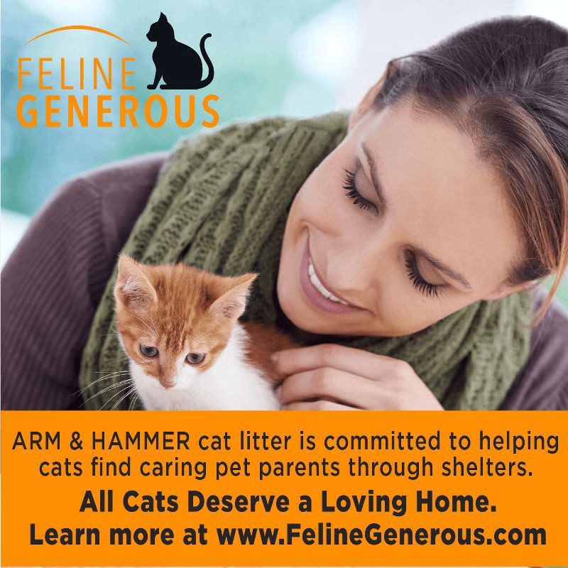 slide 7 of 9, Arm & Hammer Clump & Seal Multi-Cat Litter - 38lbs, 38 lb