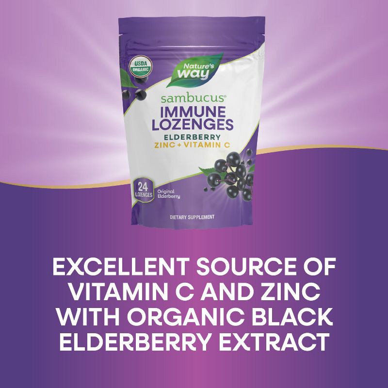 slide 5 of 7, Nature's Way Sambucus Immune Lozenges with Elderberry, Zinc and Vitamin C - 24ct, 24 ct