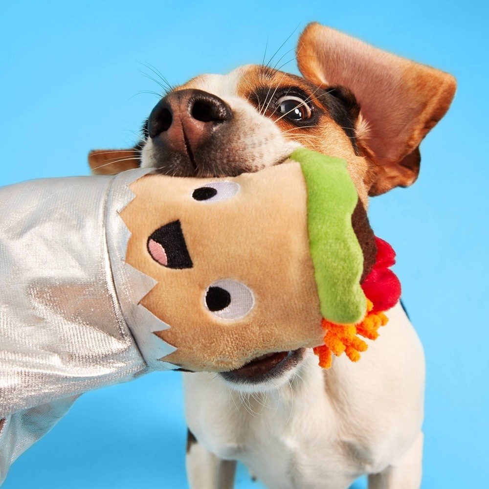 Burrito dog best sale toy