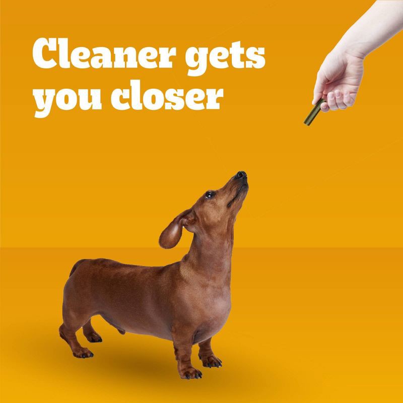 slide 5 of 10, Pedigree Dentastix Mint Fresh Flavor Dental and Hard Chewy Dog Treats for Small Dog - 102ct, 102 ct