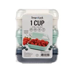 SnapLock Internat Rectangular Food Storage Container: 1L Capacity, BPA & Phthalate-Free, Locking Lid, Clear Plastic