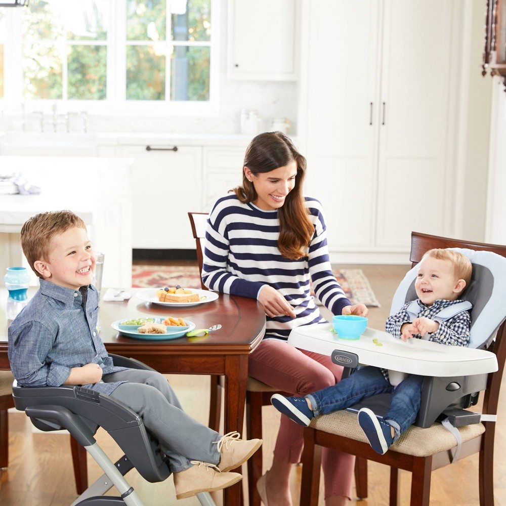 Graco asher shop high chair