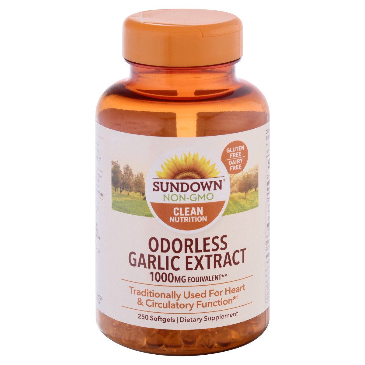 slide 1 of 9, Sundown Naturals Odorless Garlic Supplement, 250 ct