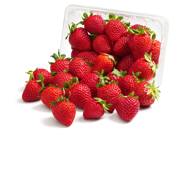 slide 1 of 1, Strawberries (1Pound Container), 1 ct