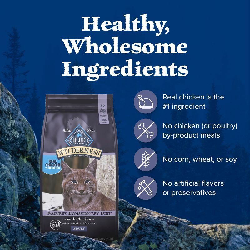 slide 6 of 11, Blue Buffalo Wilderness High Protein Natural Adult Dry Cat Food Chicken Flavor - 4lbs, 4 lb