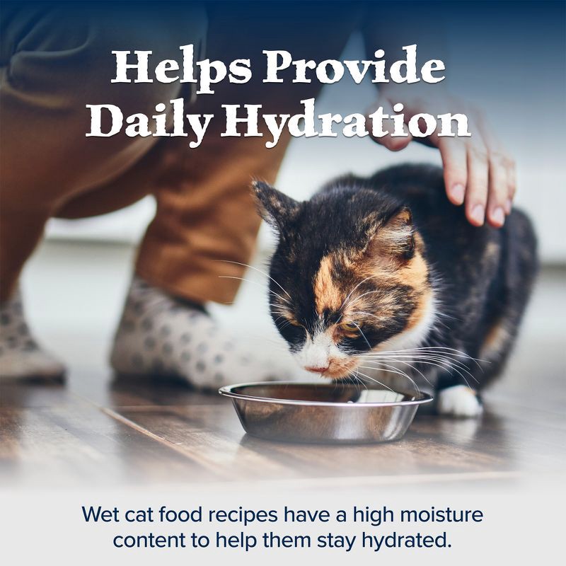 slide 8 of 11, Blue Buffalo Wilderness Wild Delights High Protein Grain Free Natural Adult Meaty Morsels Wet Cat Food with Chicken & Turkey - 3oz, 3 oz