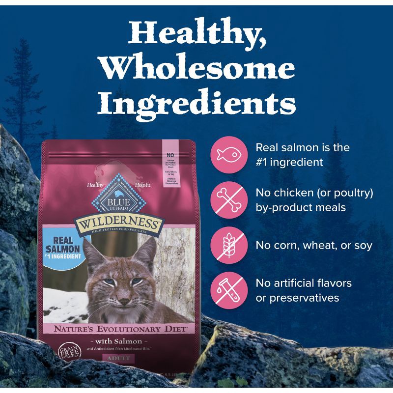 slide 6 of 10, Blue Buffalo Wilderness High Protein Natural Adult Dry Cat Food with Salmon - 4lbs, 4 lb