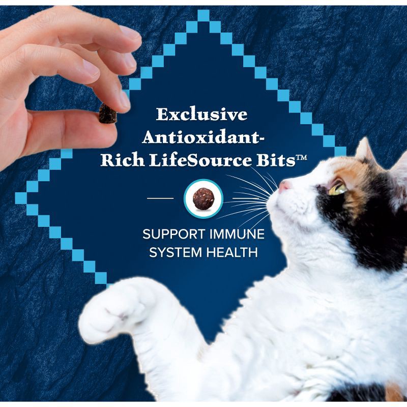 slide 7 of 10, Blue Buffalo Wilderness High Protein Natural Adult Dry Cat Food with Salmon - 4lbs, 4 lb