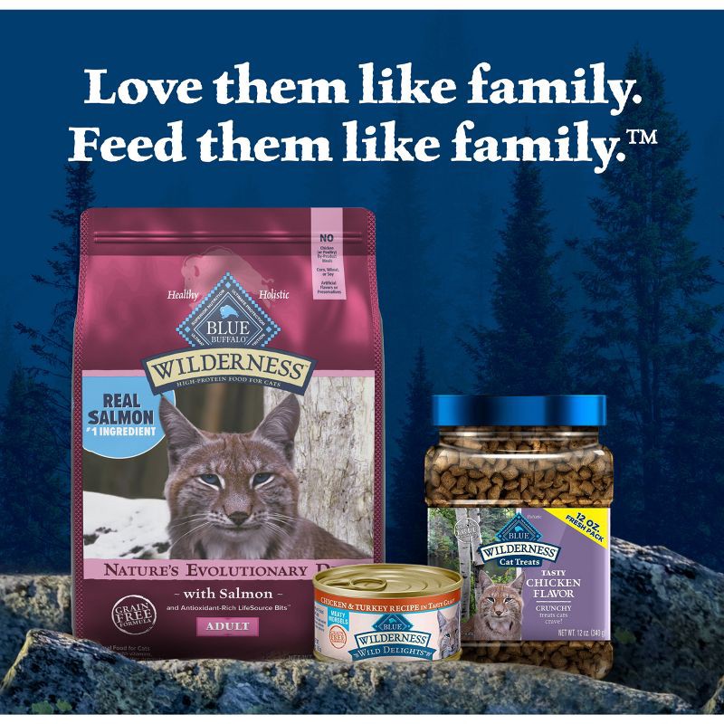 slide 9 of 10, Blue Buffalo Wilderness High Protein Natural Adult Dry Cat Food with Salmon - 4lbs, 4 lb