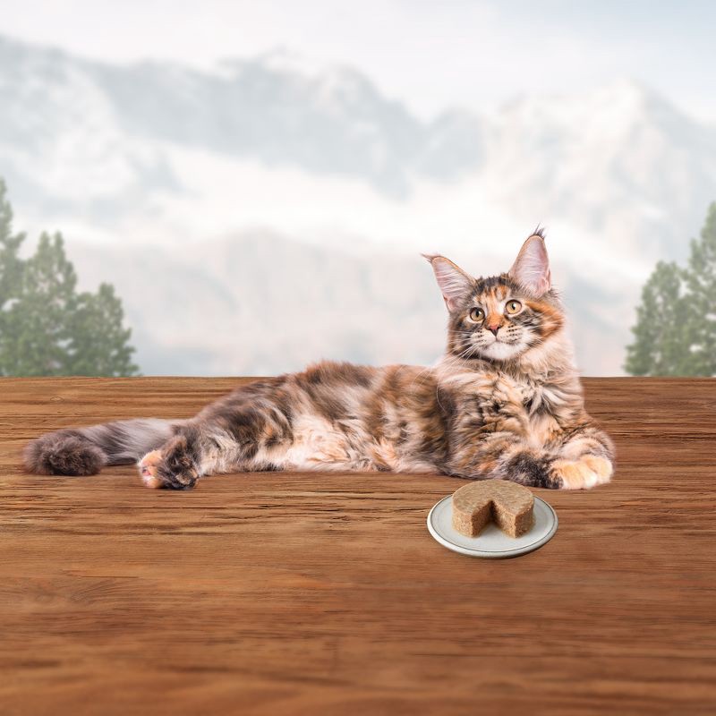 slide 3 of 8, Blue Buffalo Wilderness High Protein Grain Free Natural Adult Pate Wet Cat Food with Duck Recipe - 3oz, 3 oz