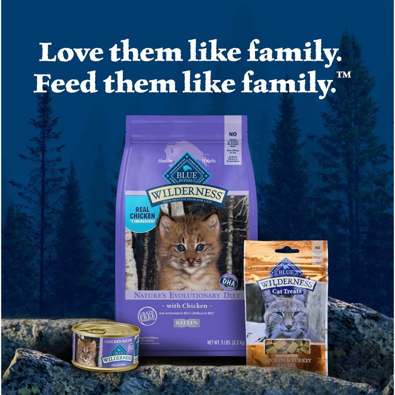 slide 9 of 11, Blue Buffalo Wilderness High Protein Natural Kitten Dry Cat Food with Chicken Flavor - 4lbs, 4 lb