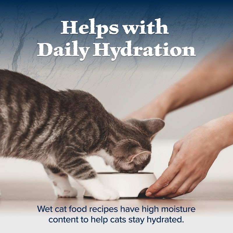 slide 7 of 10, Blue Buffalo Wilderness High Protein Grain Free Natural Kitten Pate Wet Cat Food with Salmon Recipe - 3oz, 3 oz