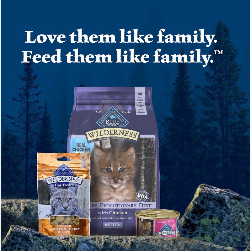 slide 9 of 10, Blue Buffalo Wilderness High Protein Grain Free Natural Kitten Pate Wet Cat Food with Salmon Recipe - 3oz, 3 oz