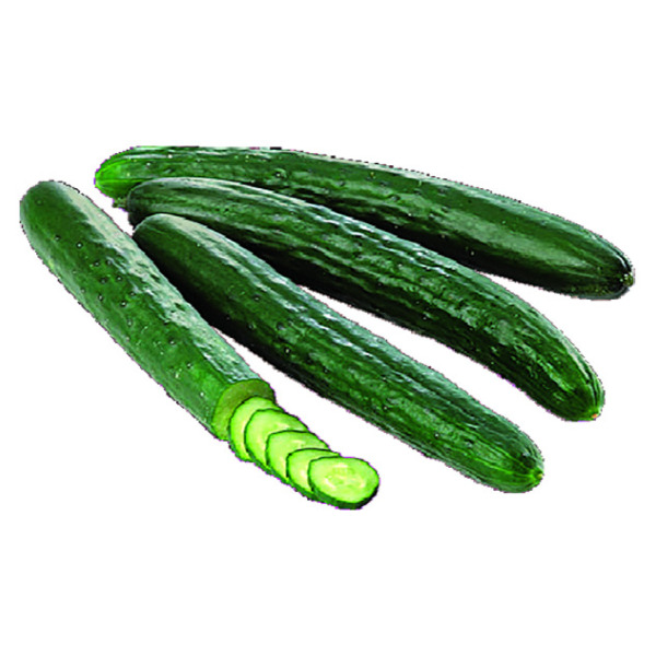 slide 1 of 1, English Cucumber, 1 ct