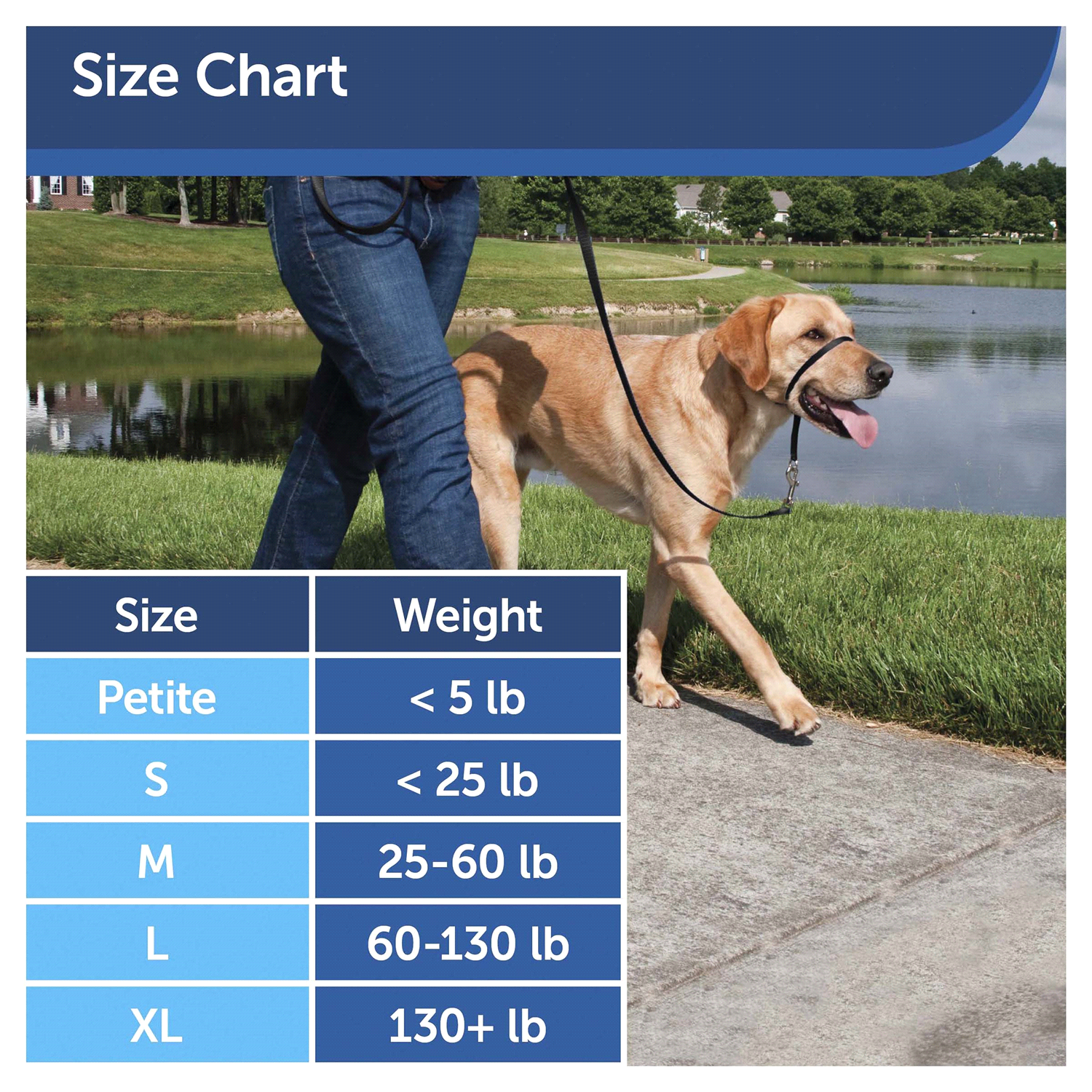 slide 4 of 5, Gentle Leader Headcollar 1 ea, 1 ct