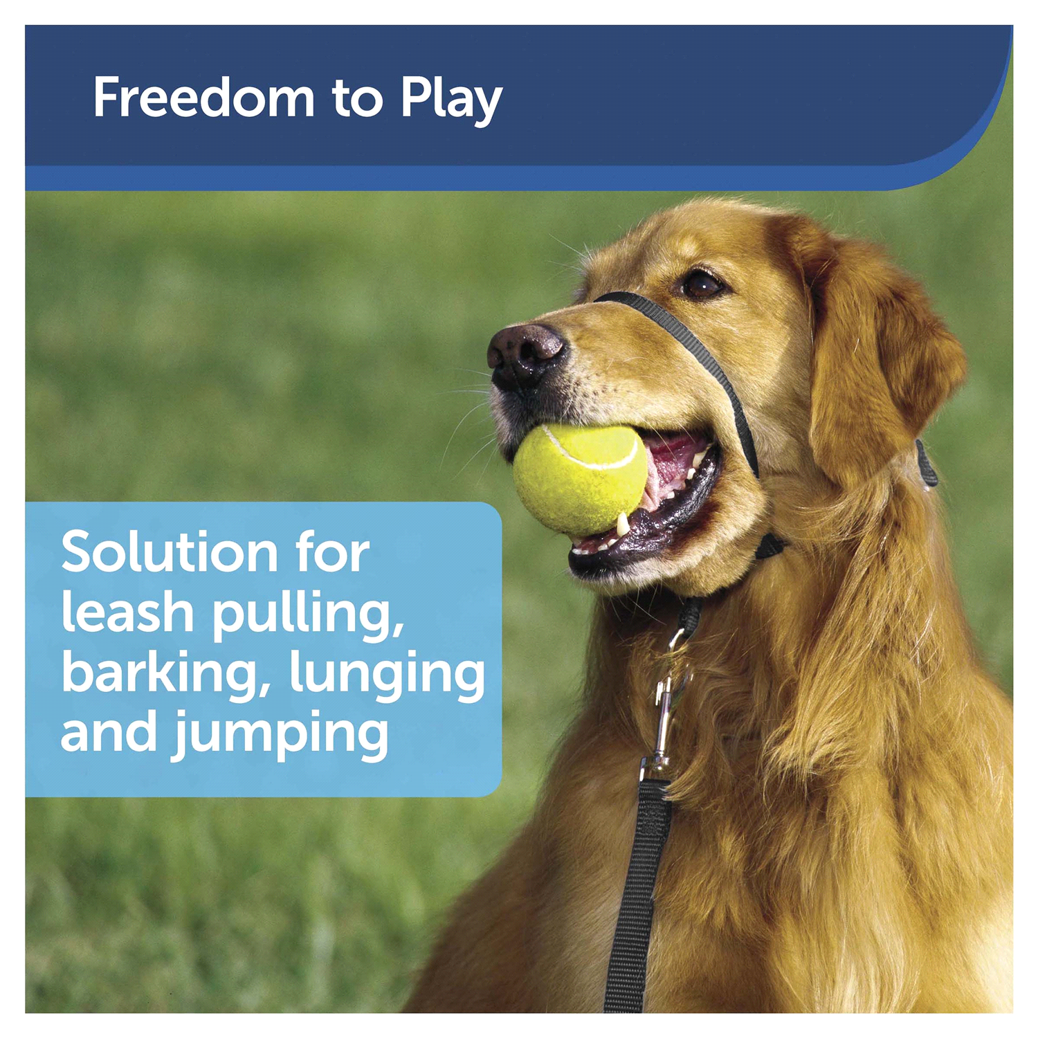 slide 2 of 4, PetSafe Gentle Leader Black Headcollar, Medium, For Dogs, 25 ct; 60 lb