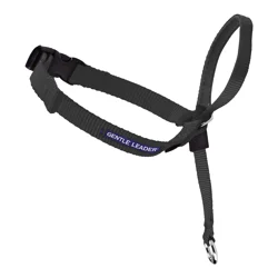 PetSafe Gentle Leader Black Headcollar, Medium, For Dogs