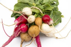 slide 1 of 1, Rainbow Radish, 1 ct