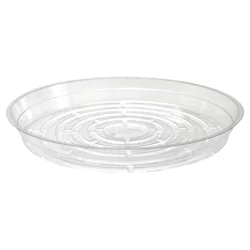 Curtis Wagner Clear Plant Saucer 10 Inch 1 ea