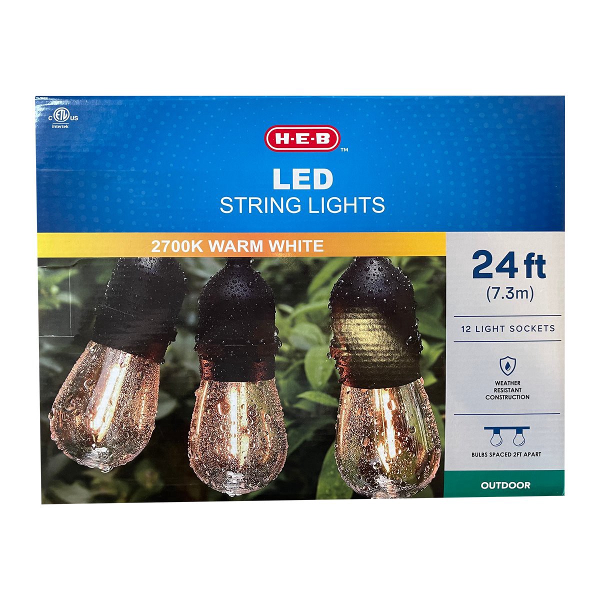 slide 1 of 1, H-E-B 12 LED Indoor & Outdoor String Lights, 24 ft