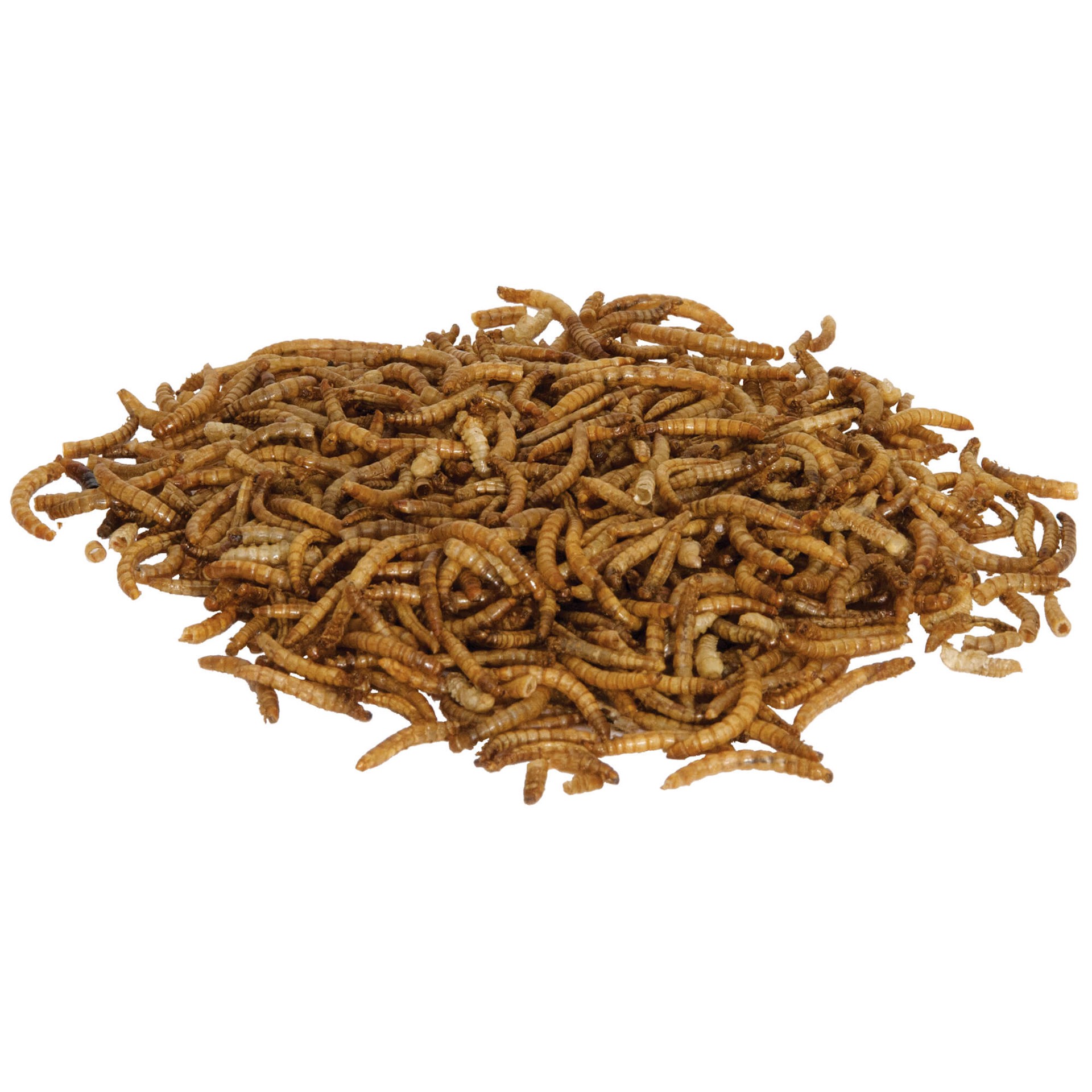 slide 7 of 10, Zilla Reptile Munchies Mealworm .5 Ounces, 1 ct