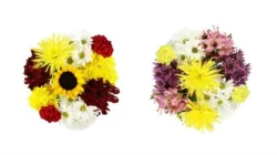 Core Happiness Bouquet Sunshine