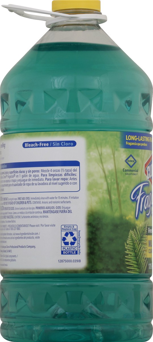 slide 7 of 9, Clorox Forest Dew Cleaner 175 oz, 175 oz