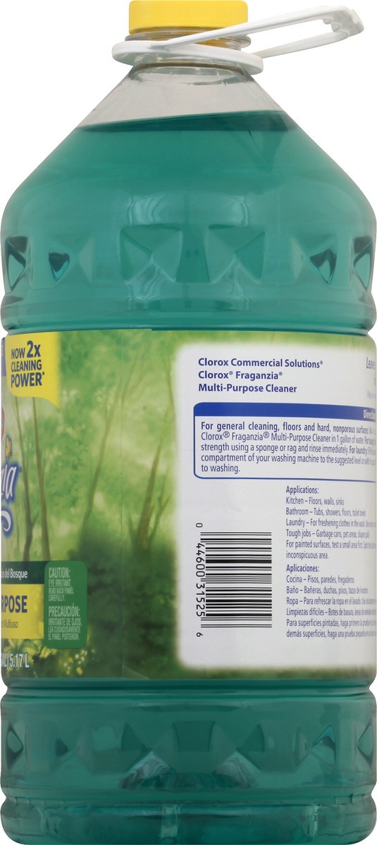 slide 5 of 9, Clorox Forest Dew Cleaner 175 oz, 175 oz