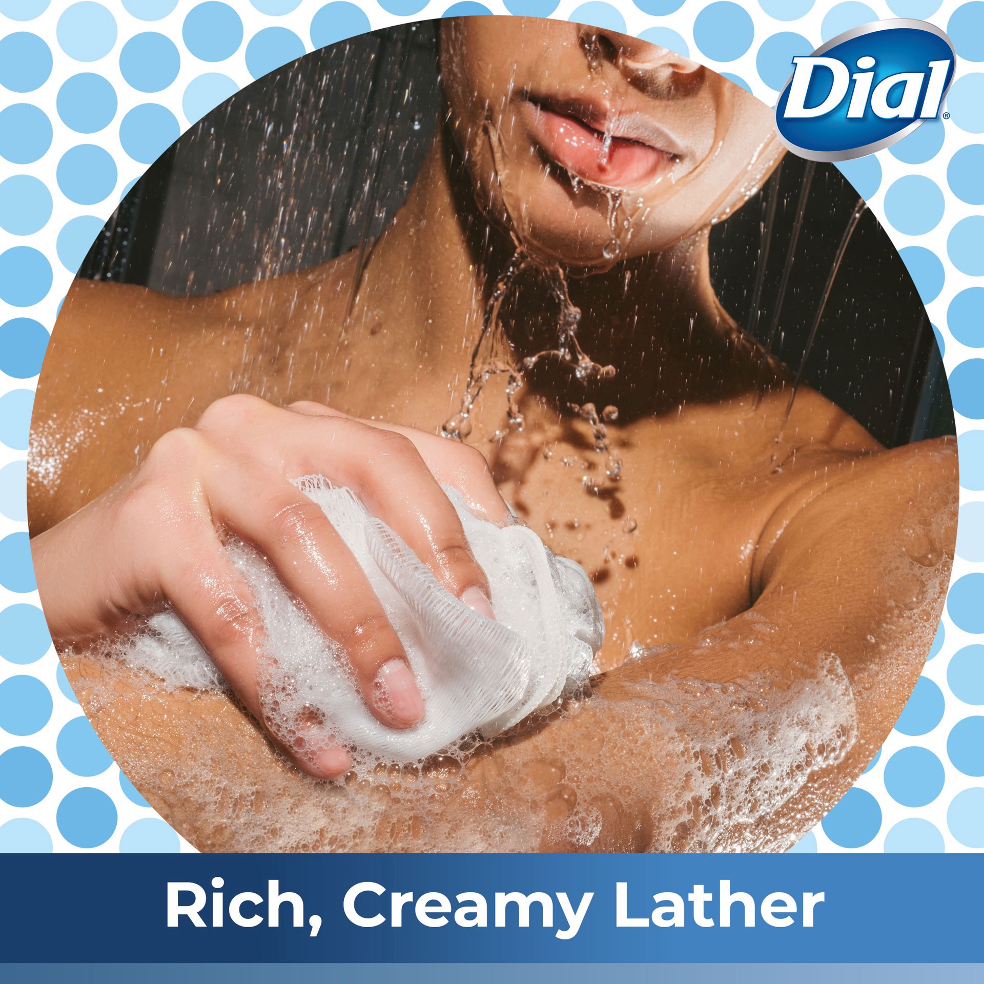 slide 5 of 5, Dial Hibiscus Water Hydrating Body Wash, 16 fl oz