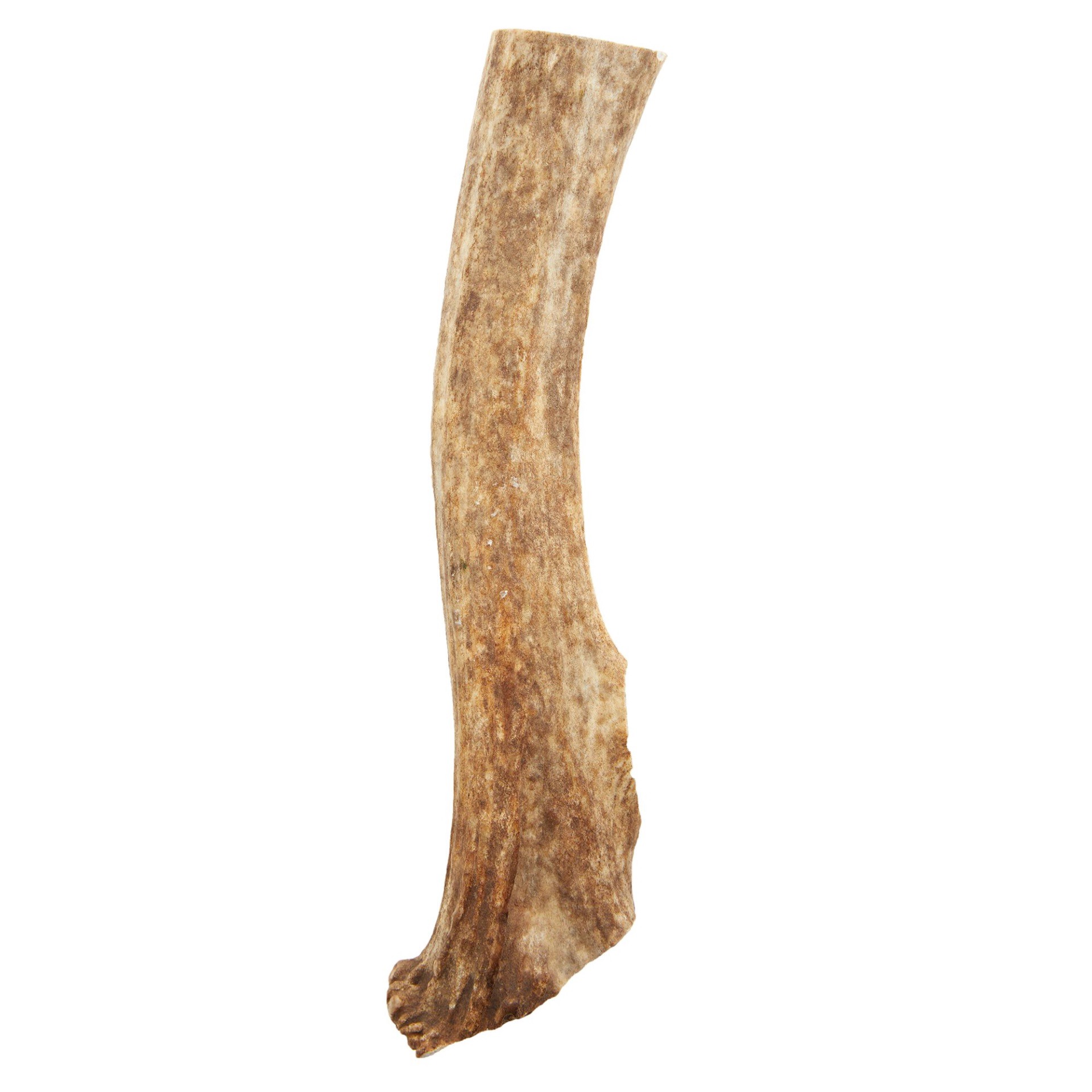 slide 1 of 1, Dentley's Nature's Chews Split Elk Antler Dog Chew, XL