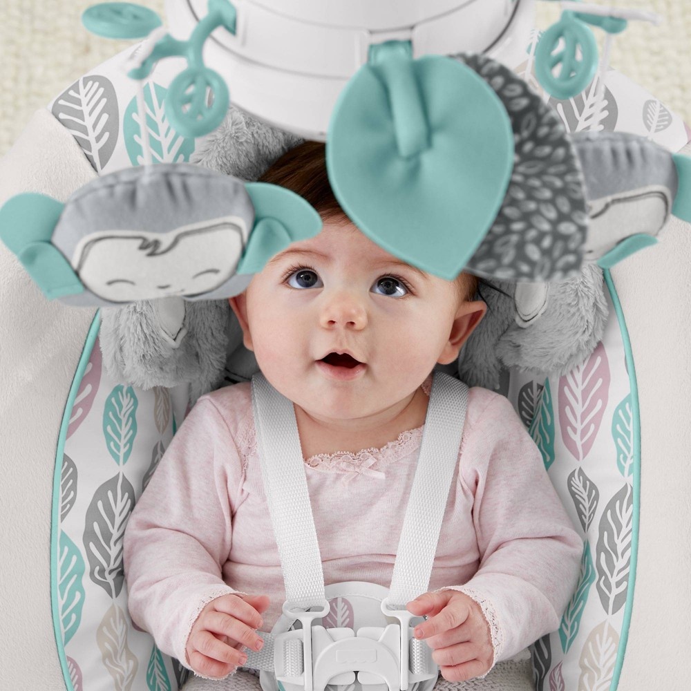 slide 5 of 6, Fisher-Price Snugamonkey Cradle N Swing, 1 ct