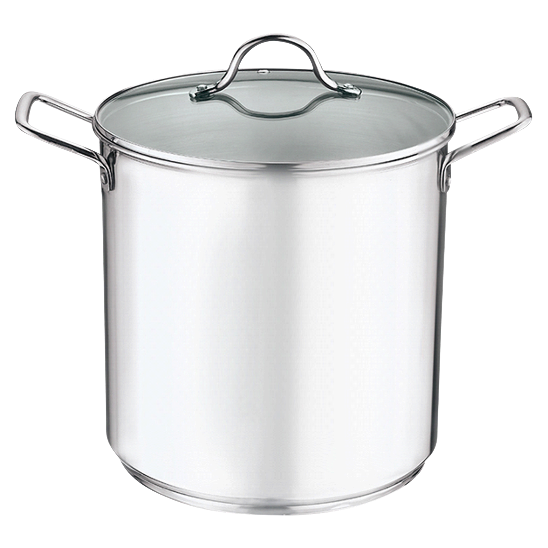 Grand Gourmet Stainless Steel Stock Pot with Glass Lid, 12 Quart