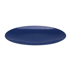ROOM & RETREAT Rr Summer Mel Dinner Plate 10.5" Navy