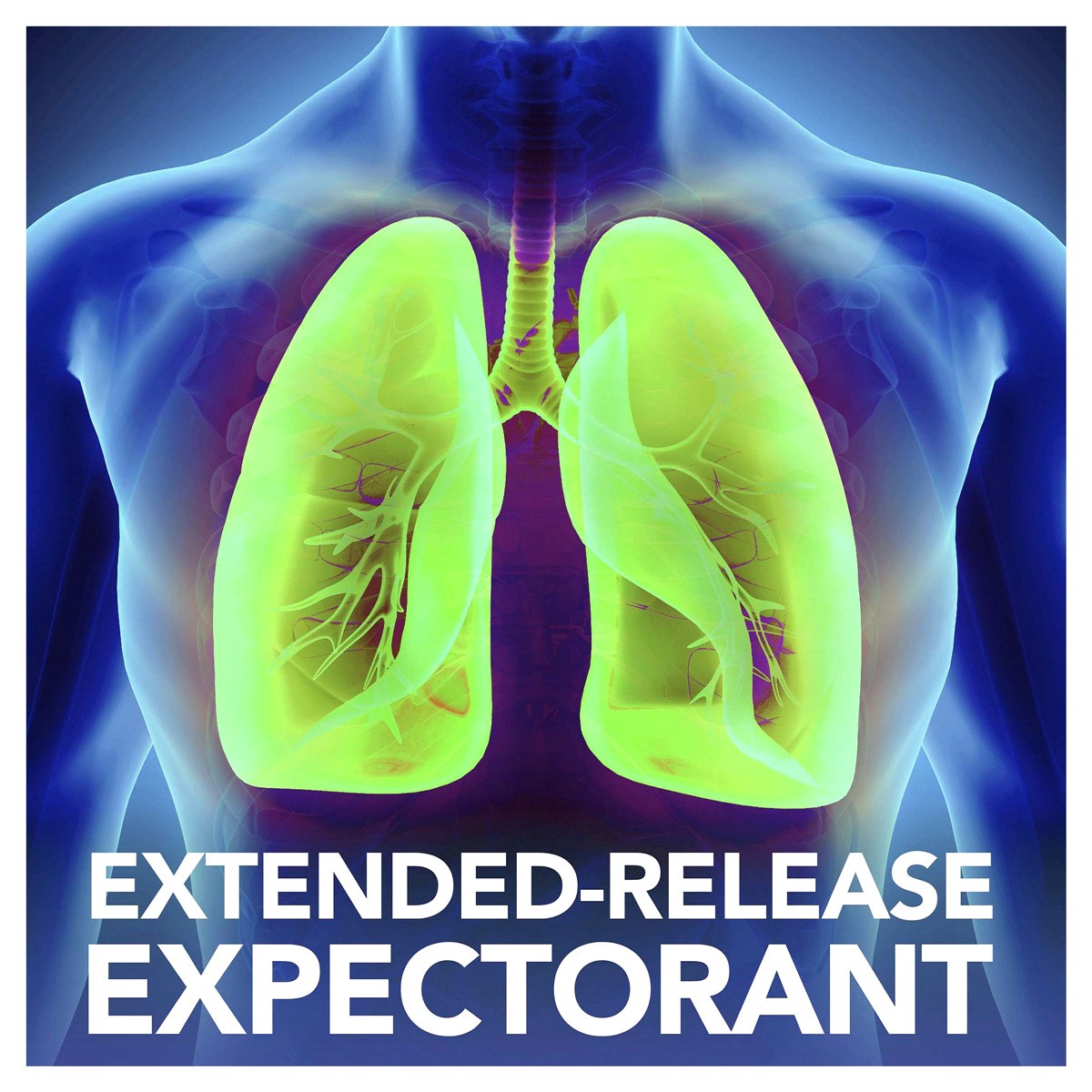 slide 5 of 5, Meijer Mucus Relief Extended Release Guaifenesin Tablet, 1200mg, 14 ct