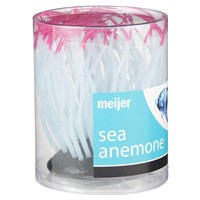 slide 11 of 29, Meijer Silicon Plant Sea Anemone, Med., 1 ct