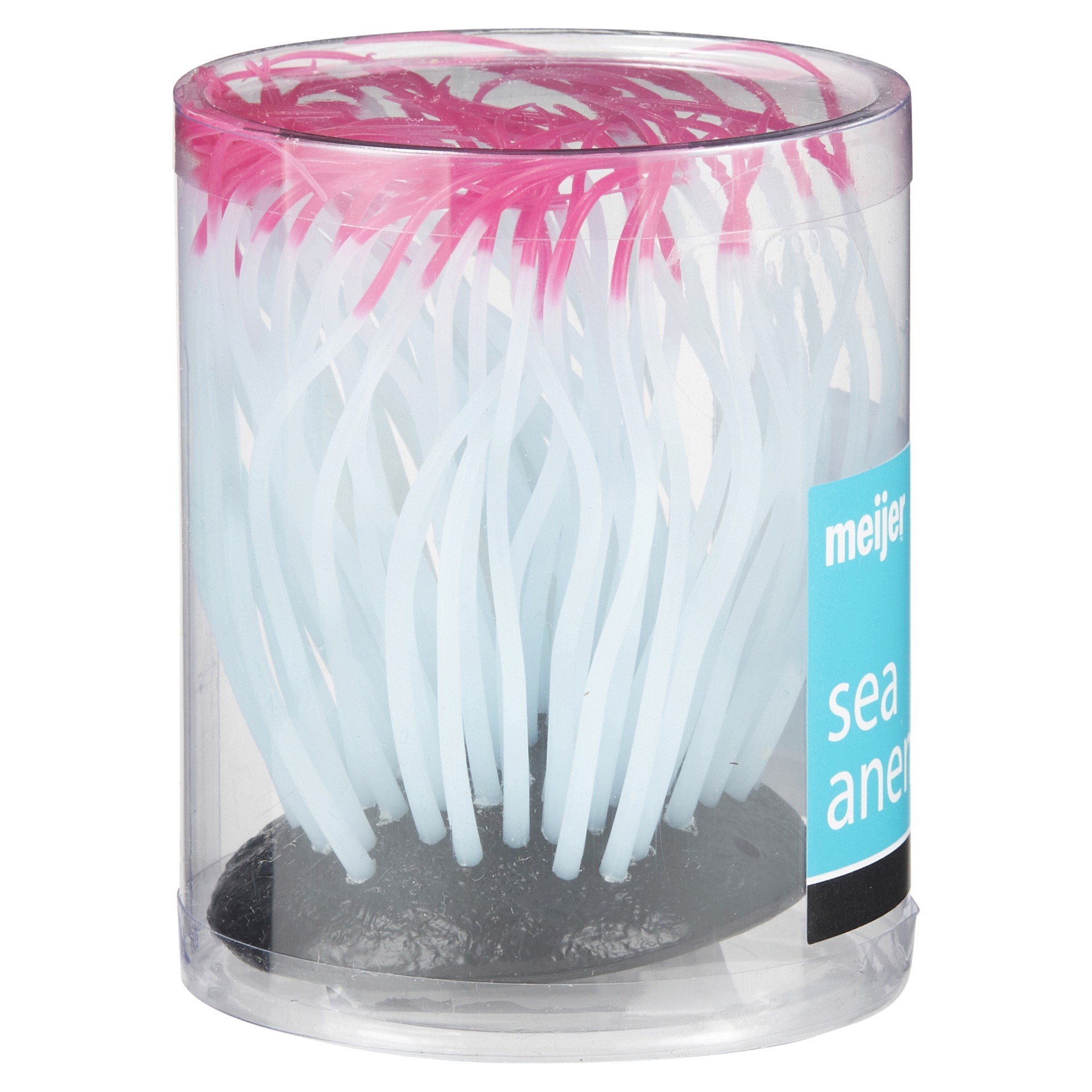slide 5 of 29, Meijer Silicon Plant Sea Anemone, Med., 1 ct