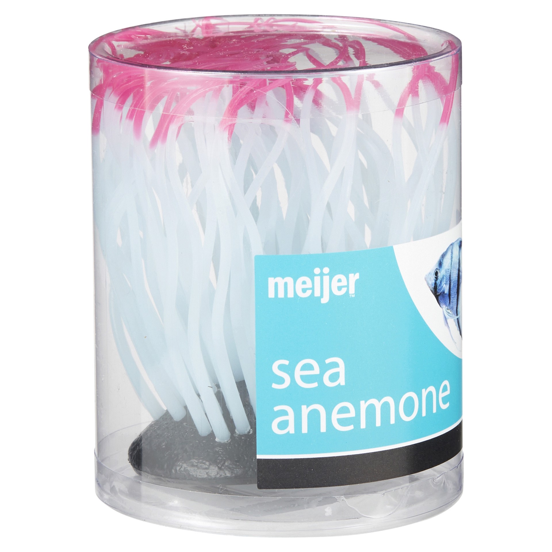 slide 23 of 29, Meijer Silicon Plant Sea Anemone, Med., 1 ct