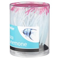 slide 13 of 29, Meijer Silicon Plant Sea Anemone, Med., 1 ct