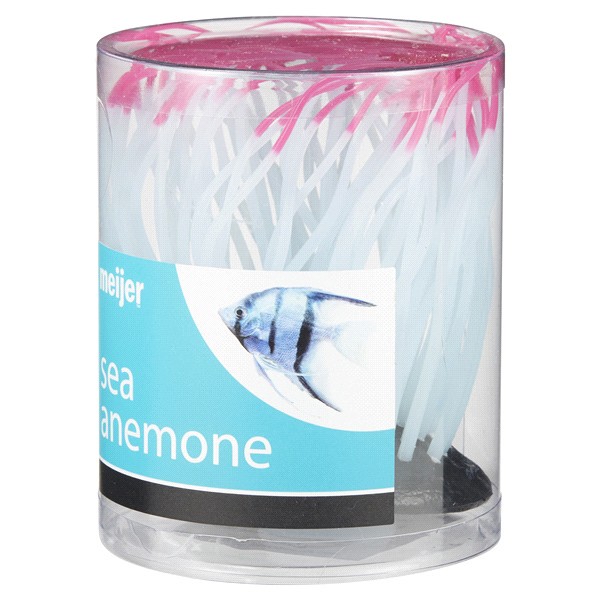 slide 9 of 29, Meijer Silicon Plant Sea Anemone, Med., 1 ct