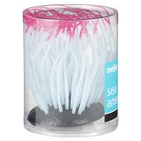 slide 7 of 29, Meijer Silicon Plant Sea Anemone, Med., 1 ct