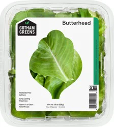 Gotham Greens Butterhead Lettuce