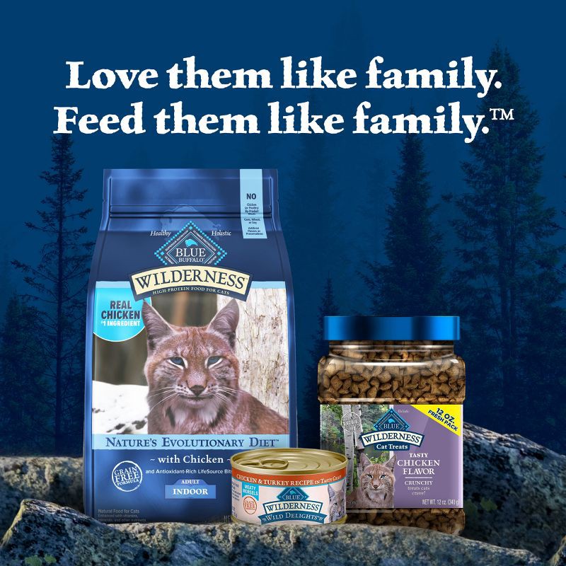 slide 9 of 10, Blue Buffalo Wilderness High Protein Natural Adult Indoor Dry Cat Food with Chicken - 4lbs, 4 lb