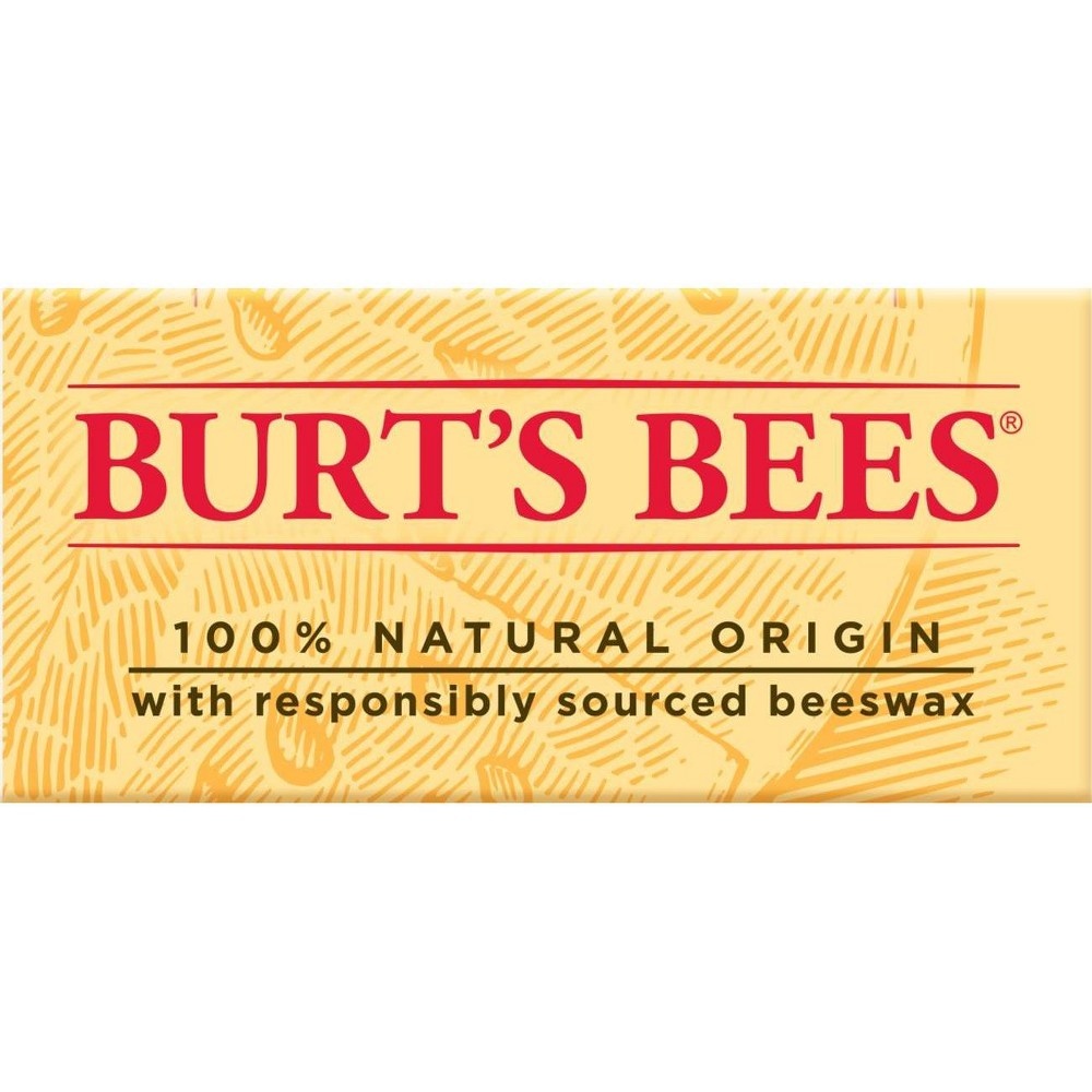 slide 8 of 9, Burt's Bees Moisturizing Lip Balm - Watermelon - 0.3oz, 0.3 oz