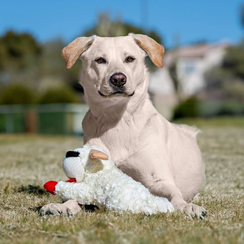 slide 3 of 5, Multipet 10.5" Lamb Chop Interactive Plush Dog Toy, 1 ct