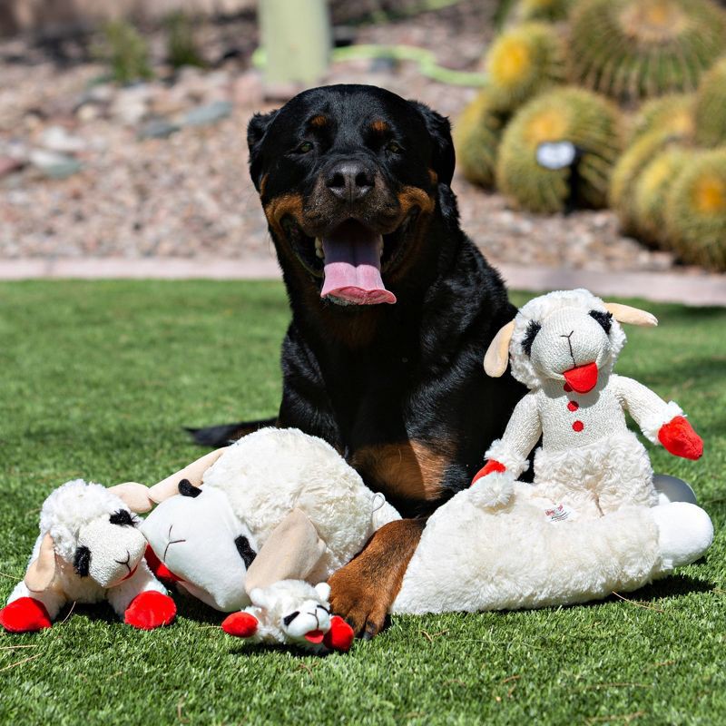 slide 4 of 5, Multipet 10.5" Lamb Chop Interactive Plush Dog Toy, 1 ct