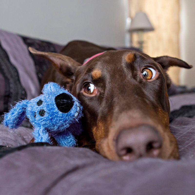 slide 3 of 3, Multipet Loofa The Original Dog Toy - Blue - 6", 1 ct