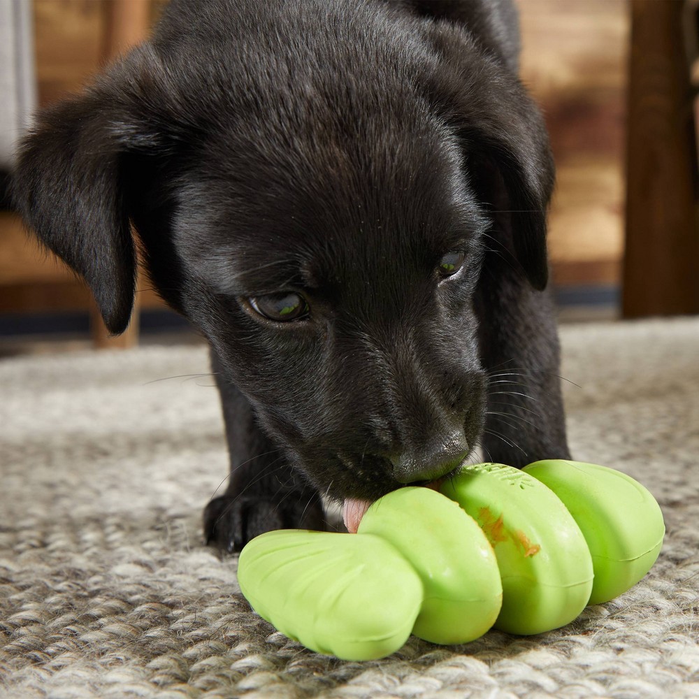 bark super chewer fish