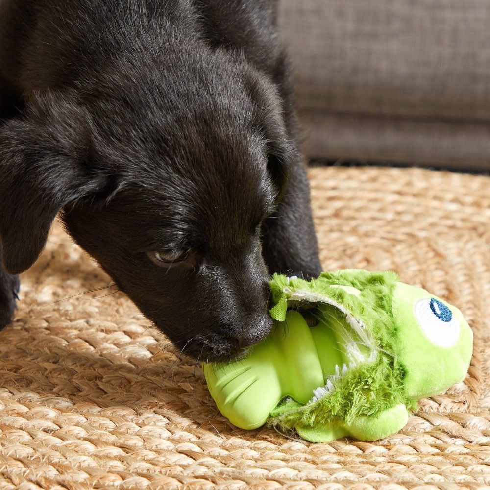 Rubber fish dog outlet toy