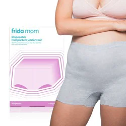 Frida Mom Disposable Postpartum Underwear Boy Shorts Briefs - Regular 8ct